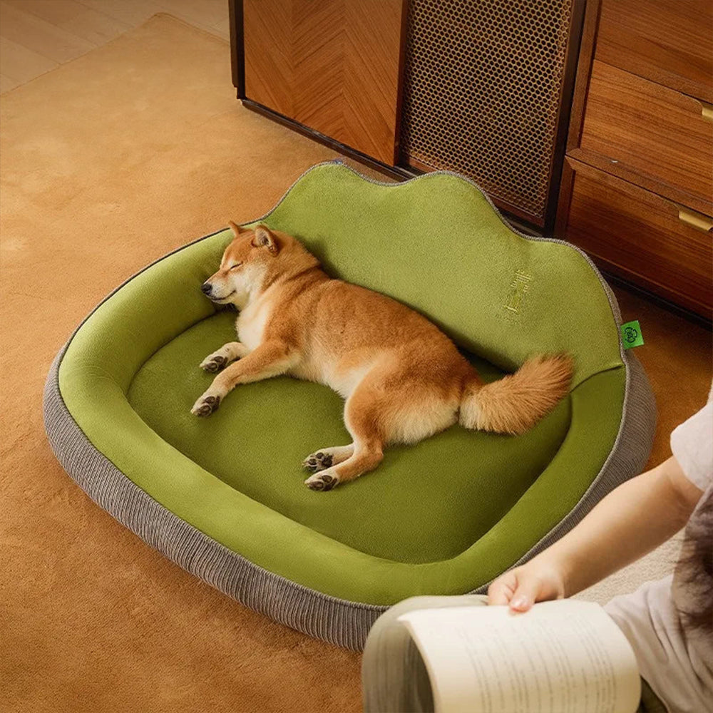 Coussin moelleux confortable pour chat