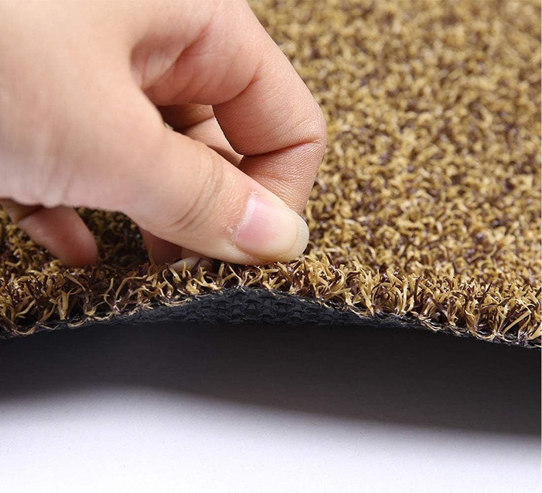 Paillasson antidérapant lavable pour intérieur et extérieur