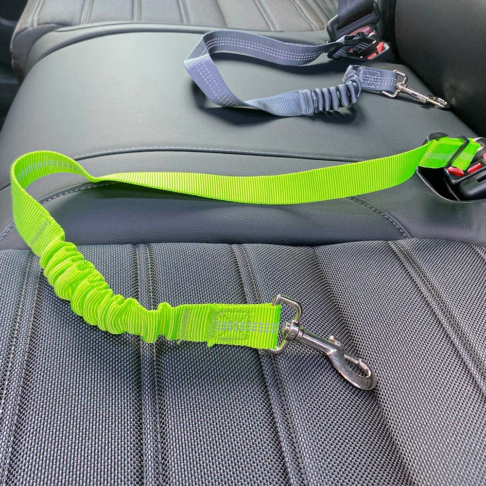 Ceinture de sécurité pour chien réglable robuste