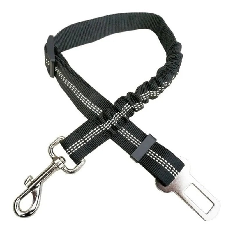 Ceinture de sécurité pour chien réglable robuste