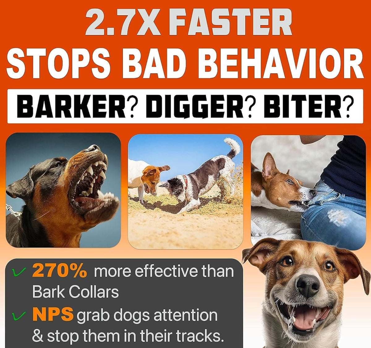 Dispositif anti-aboiement ultrason longue portée pour chien