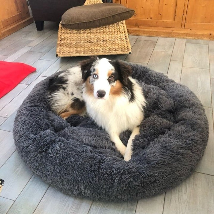 Coussin apaisant déhoussable pour chien et panier lit