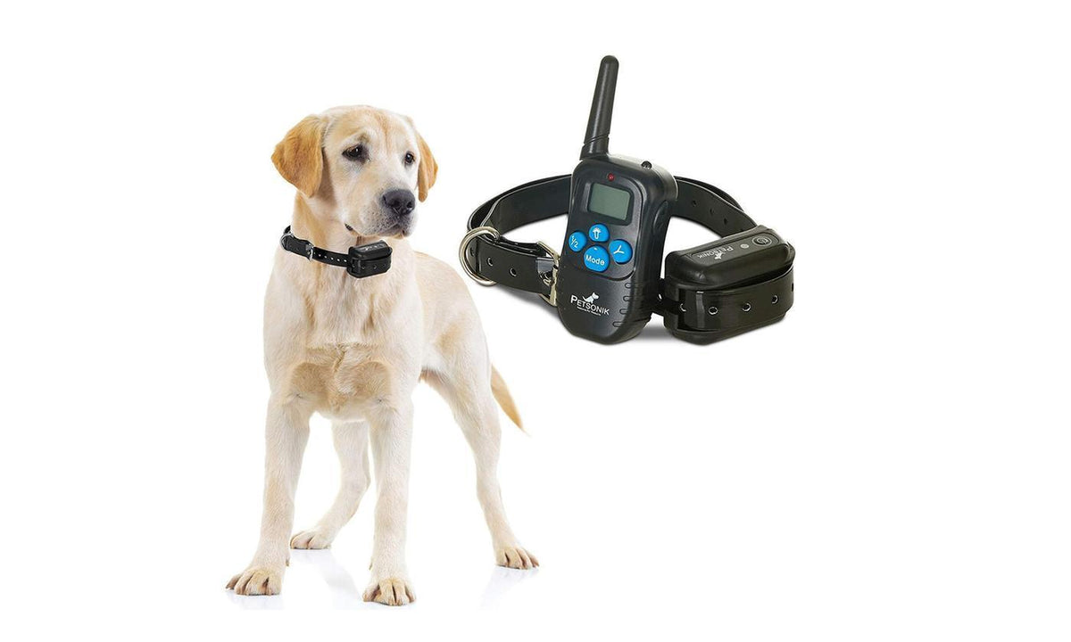 Collier électrique pour chien à télécommande sans fil