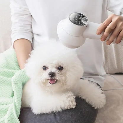 Sèche-cheveux silencieux à technologie avancée