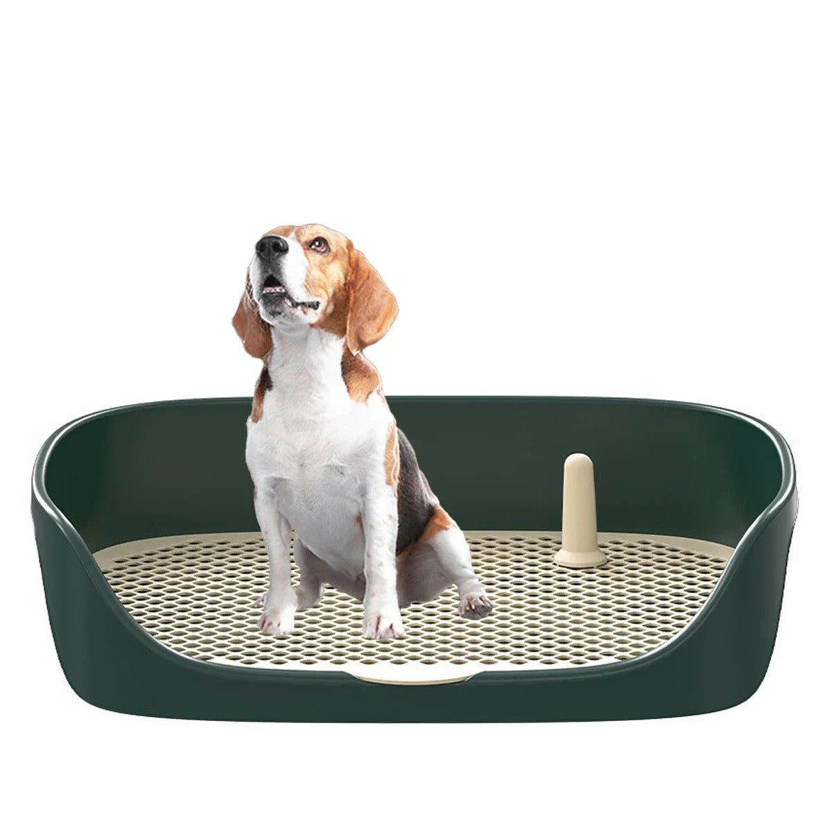 Entraîneur de propreté pour chiot pratique et efficace