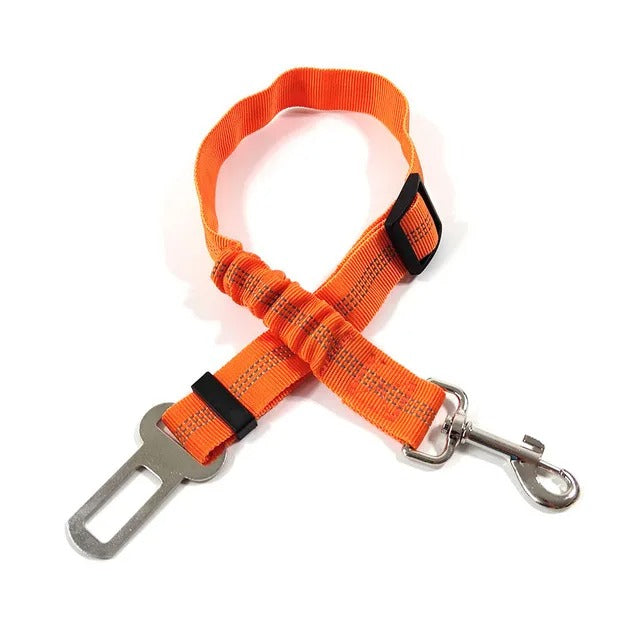 Ceinture de sécurité pour chien réglable robuste