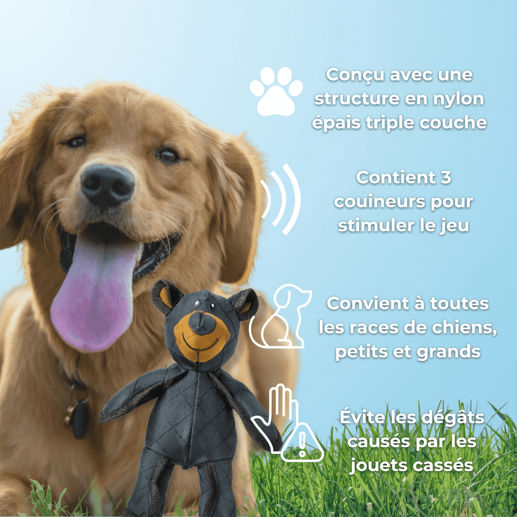 Jouet résistant indestructible pour chiens actifs mâchouilleurs