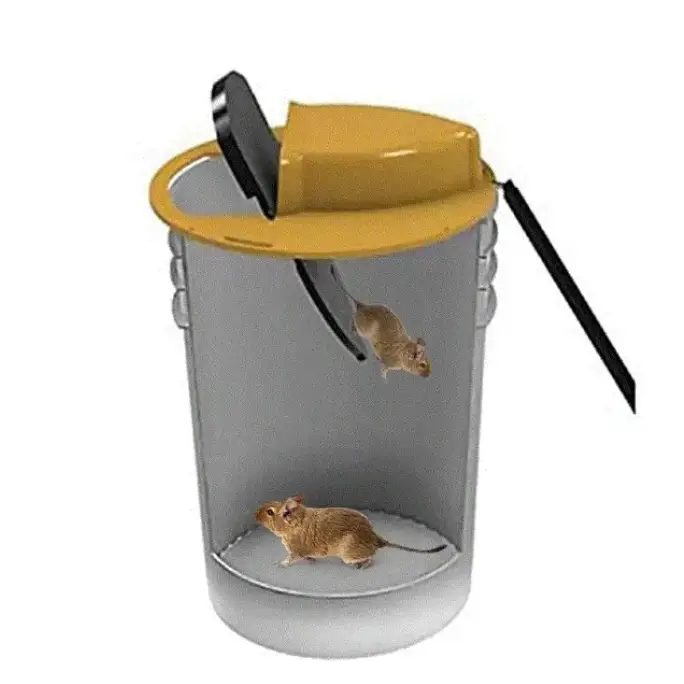 Piège à Souris Rapide et Efficace - Santeova